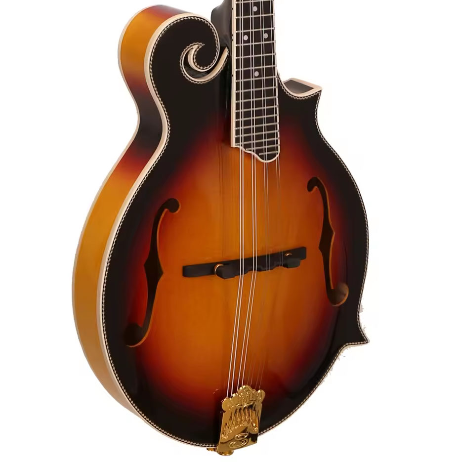 Musical Instrument Mandolin - 8弦マンドリン、サンバースト光沢仕上げ、ローズウッドネック、スプルース合板ボディ、Fホール、アコースティック楽器