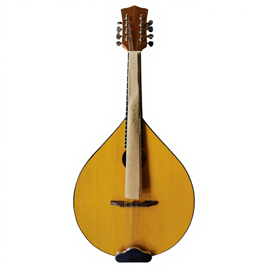 Musical Instrument Mandolin - 8弦アコースティックバンジョー、バスウッドバック＆サイド、マンドリンスタイル楽器、フォークミュージック、プロ品質