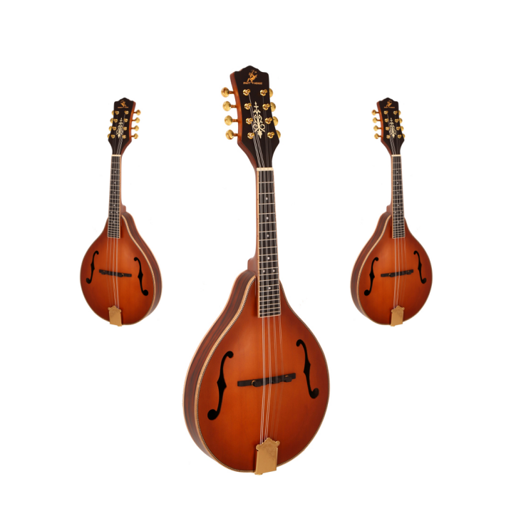 激安セール クラシック8弦楽器 マット仕上げマンドリン スプ - Musical Instrument Mandolin のレビューと価格