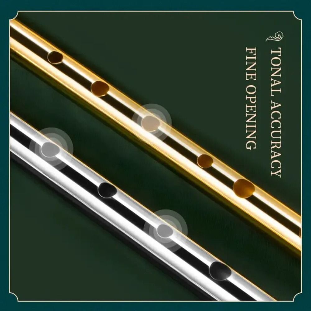 6穴C/Dキー イリッシュホイッスル フルート 6穴 簡単学 - Musical Instrument Irish のレビューと価格