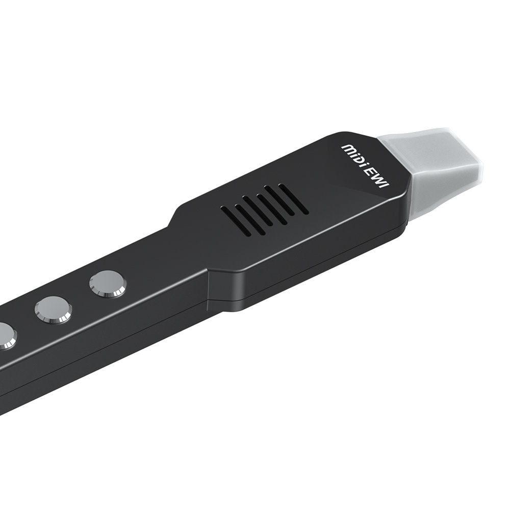 小型横笛電子管楽器スイートフルートプロフェッショナル楽器クラ - Musical Instrument Irish のレビューと価格