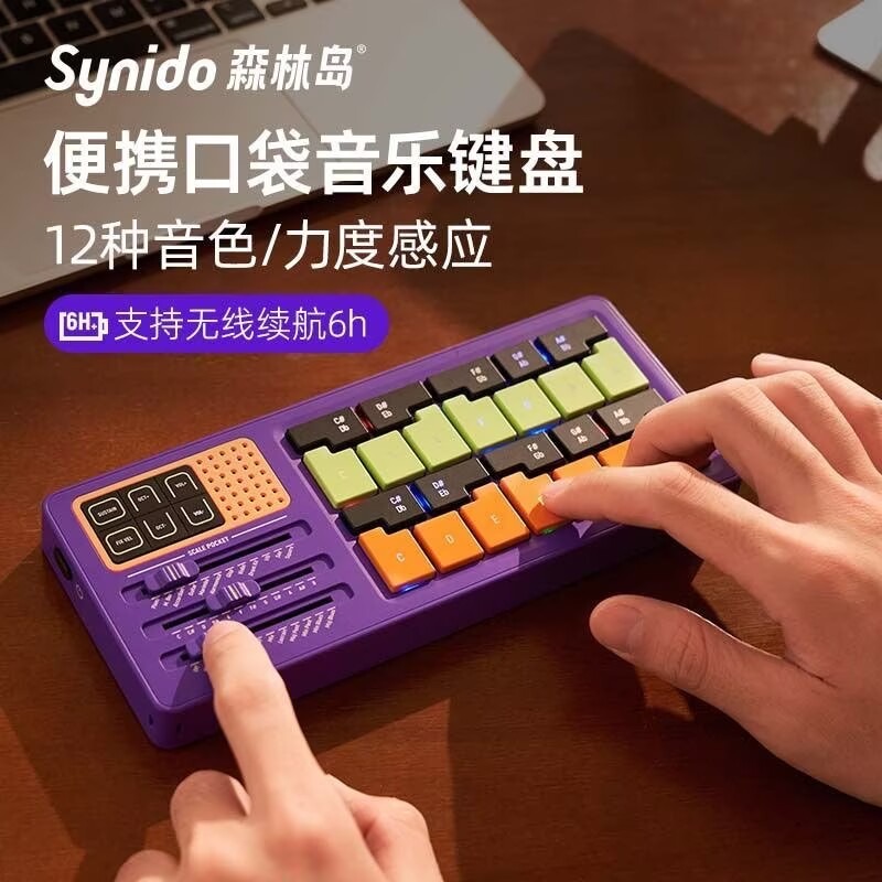 シニド・スケール・ポケット・ミュージックキーボード 電子ピア - Musical Instrument I Play のレビューと価格